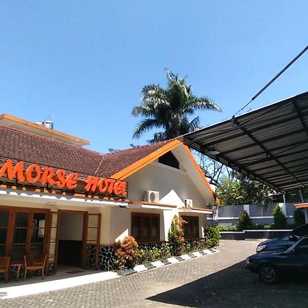 Morse Guest House مالانغ المظهر الخارجي الصورة