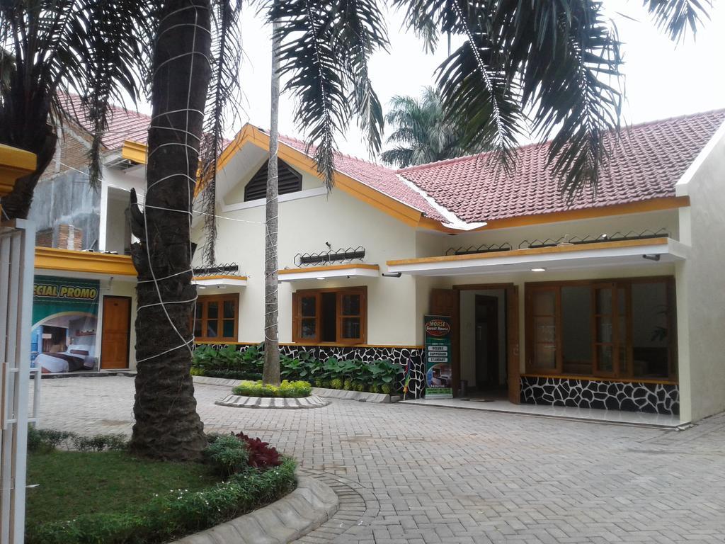 Morse Guest House مالانغ المظهر الخارجي الصورة
